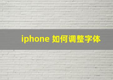 iphone 如何调整字体